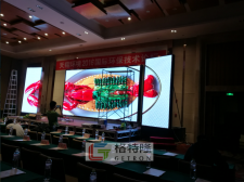 艾克美雅閣大酒店舞臺屏